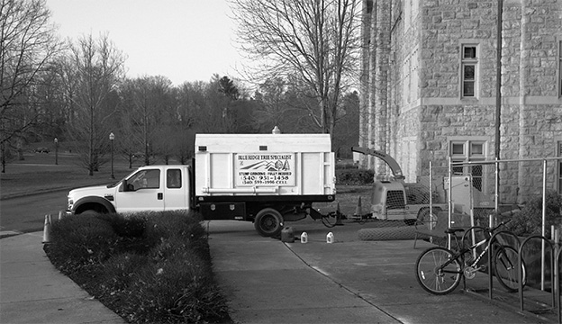 Tree Removal at Virginia Tech's Davidson Hall image